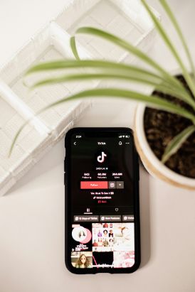 How to Get Verified on TikTok and Build Your Brand